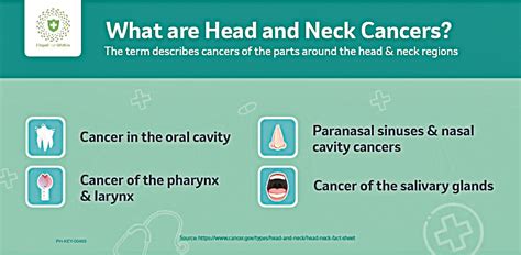 Head Neck Cancers What You Need To Know Daily Tribune