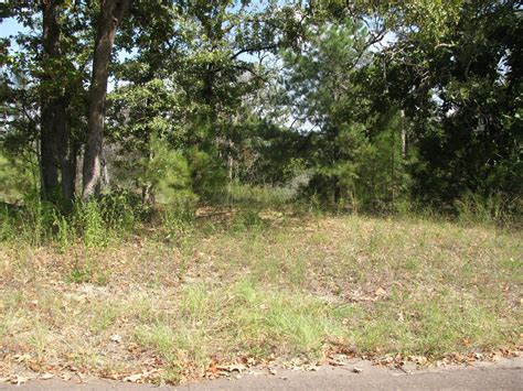 Vacant Acreage For Sale In Smith County Texas Land Century Land