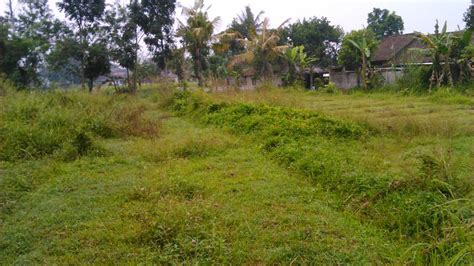 Berikut 46 usaha modal kecil menguntungkan, menjanjikan, yang bisa dilakukan di rumah. TANAH DIJUAL: Dijual tanah sawah, pinggir jalan hotmix dan ...