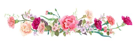 Panoramic View Bouquet Of Carnation Schabaud Spring Blossom Horizontal