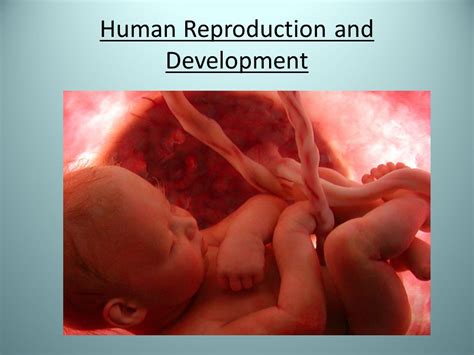 Human Reproduction Online Learning Unit Teaching Resources