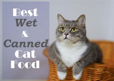 When you buy through links on our site another point in the favor of this food is that it is completely free of artificial colors or flavors. Best Wet and Canned Cat Food | Canned cat food, Cat food, Cats
