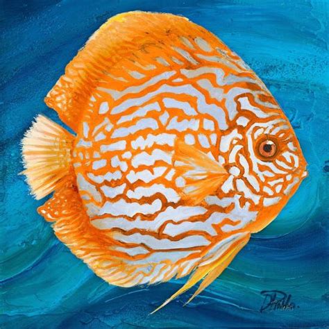 Aquatic Life I Vibrant Sea Life Ii Art Print Patricia Pinto