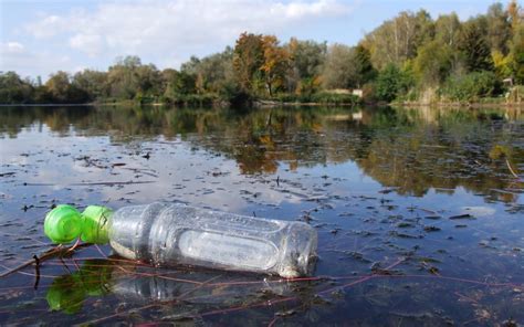 Effects Of Plastic On Marine Life