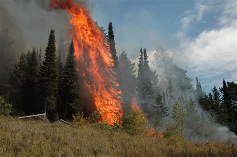 Know Before You Go – Is your favorite hunting area open in southwest