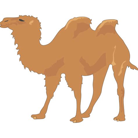 Camel With Two Humps Png Svg Clip Art For Web Download Clip Art Png