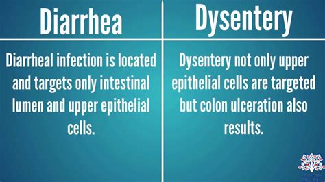 Dysentery Symptoms Causes And Treatment The Fit Body