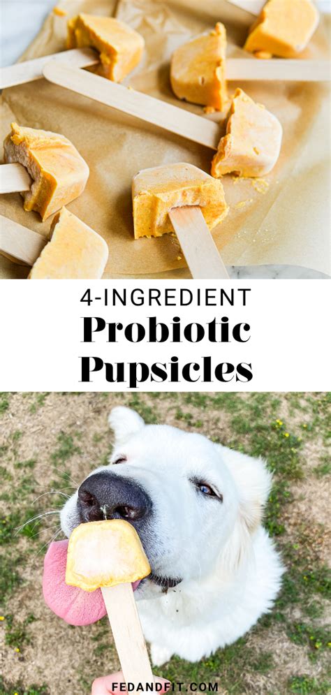 Check spelling or type a new query. 4-Ingredient Pupsicles Packed With Probiotics! | Fed & Fit ...