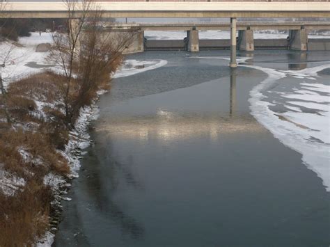 Schemerlbrücke, der nußdorfer steg, mehrere brücken die auf. botanische-spaziergaenge.at • Thema anzeigen - 09.02.2012 ...