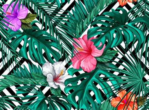 I am prunning my hibiscus to get it ready for my patio. Vector Tropical Leaves Hibiscus Seamless Pattern Stock ...