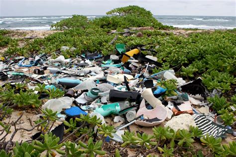 Beach Environmental Awareness Campaign Hawai Imarine Debris