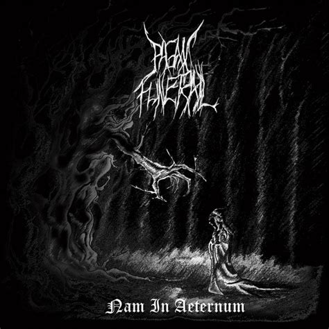 Pagan Funeral Nam In Aeternum Releases Discogs