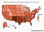 Pregnancies, Births and Abortions Among Adolescents and Young Women in ...