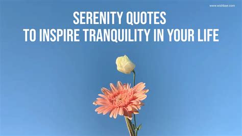 Serenity Quotes To Inspire Tranquility In Your Life Wishbaecom