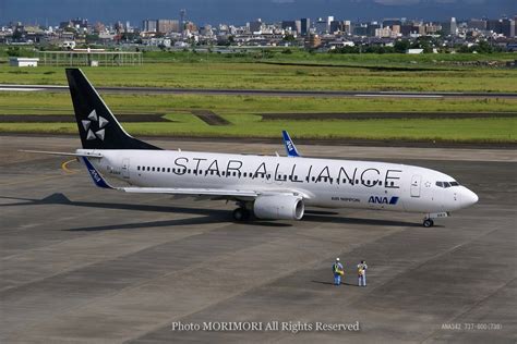 スターアライアンス特別塗装機の写真｜b737 800 Ja51an Star Alliance｜宮崎空港