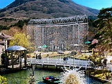 2021箱根玻璃之森美术馆-旅游攻略-门票-地址-问答-游记点评，箱根町旅游旅游景点推荐-去哪儿攻略