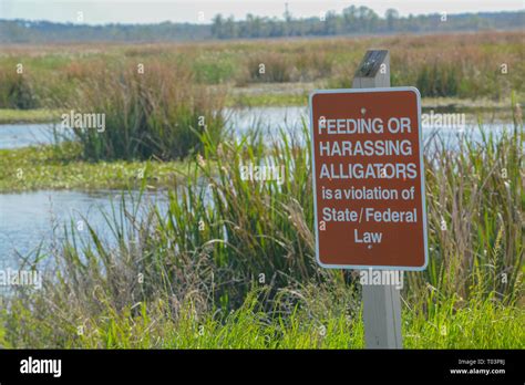 Alligator Warning Sign At Savannah National Wildlife Refuge In