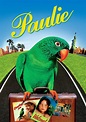 Paulie, el loro bocazas - película: Ver online