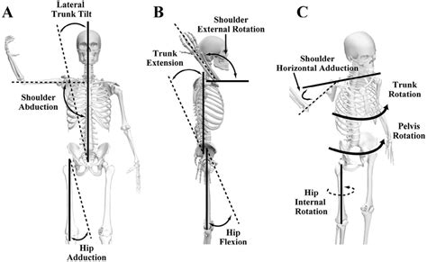 Definition Of Kinematics A Lateral Trunk Tilt Shoulder Abduction