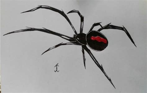 Spiderblackwidow Spider Drawing Draw Pen Art Gothic Blackwidow