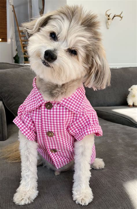 The Best Ideas Of Fashion For Dog Dress Ropa Para Perros Machos