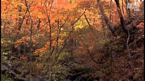 Beautiful Nature Autumn 1080p Hd Youtube