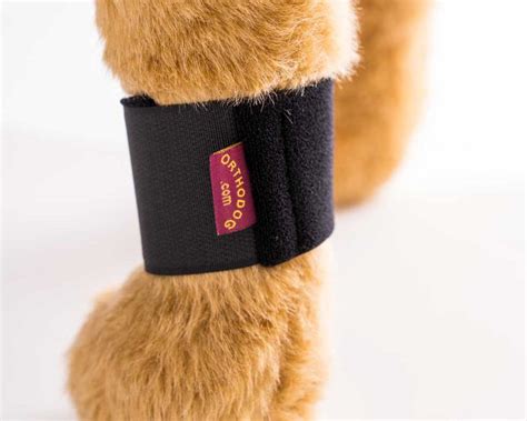 Adjustable Dog Wrist Braces - Ortho Dog Wrist Wrap | Wrist brace, Wrist wrap, Dog braces