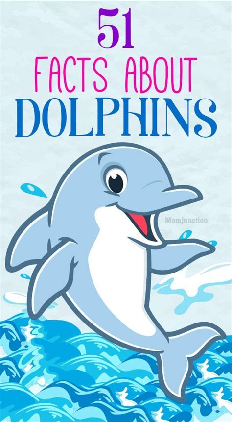 Top 51 Fascinating Facts About Dolphins For Kids Fun Facts About