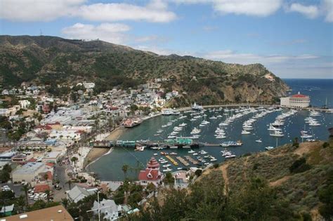 Catalina Island Day Trip From Anaheim Hotels With Discover Avalon Tour