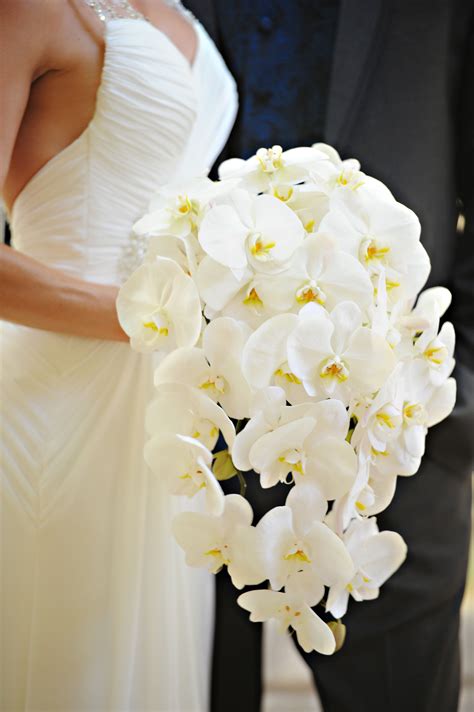 Cascading White Cymbidium Orchid Bouquet | Orchid bouquet wedding, Orchid bouquet, White orchid ...