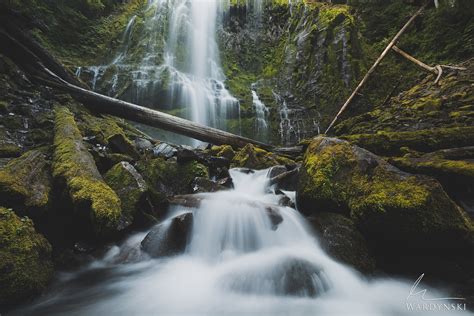 Enchanted Forest Proxy Falls Oregon Mike Wardynski Photography