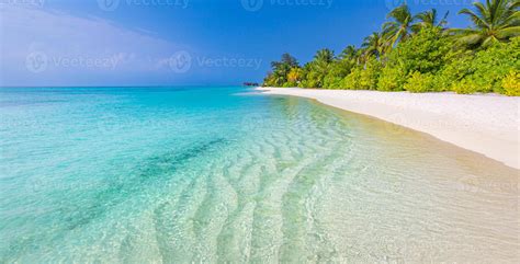 Papel De Parede De Fundo De Paisagem De Praia Tropical Exótica