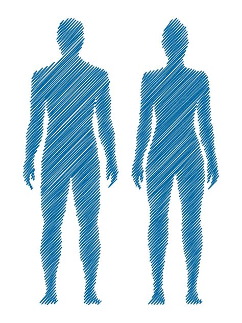 premium vector male and female body vector sketch drawing isolated on white background