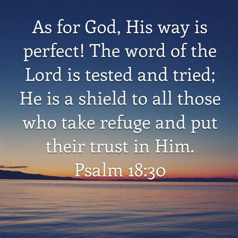 Psalm 1830 As For God His Way Is Perfect The Word Of The Lord Is