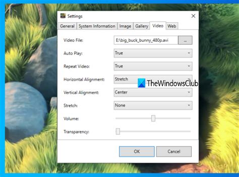 Best Free Software To Set Video As Desktop Background In Windows 1110