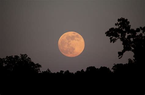 Strawberry Moon Archives Universe Today