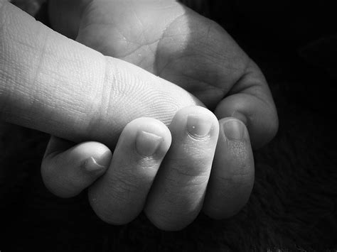 Fingers Holding Hands Baby · Free Photo On Pixabay