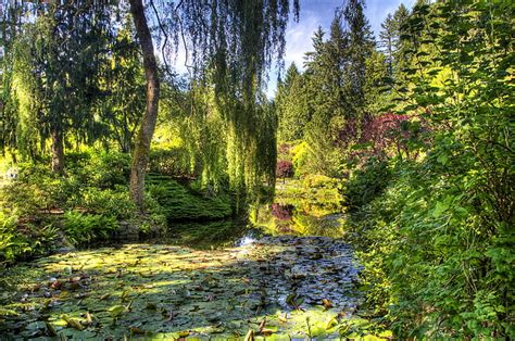 Hd Wallpaper Greens Trees Pond Garden Canada The Bushes Victoria