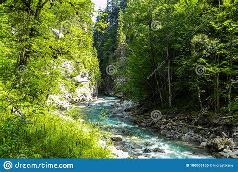 A Fast Small River Flows Through The Green Forest Stock Image Image