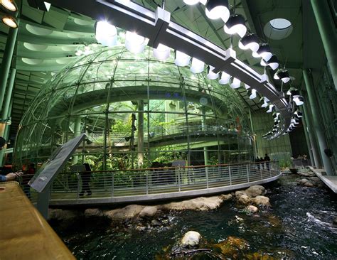 California Academy of Sciences | Marin RV Park | Visit San Francisco