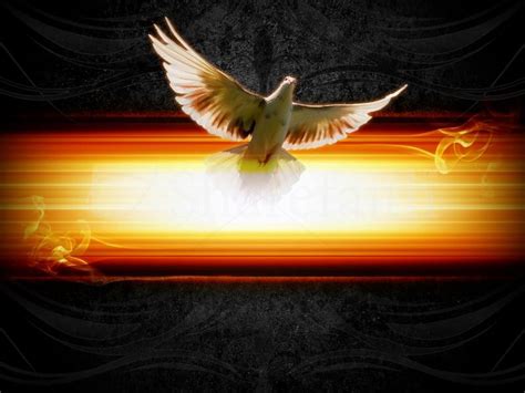 Download transparent holy spirit png for free on pngkey.com. Holy spirit backgrounds - SF Wallpaper