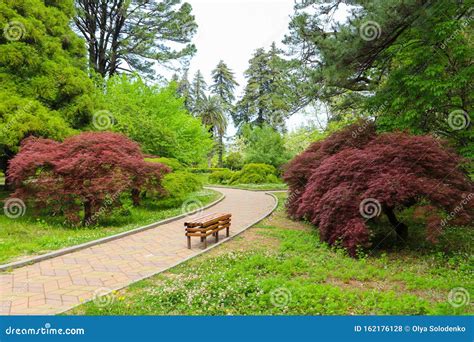 Beautiful View Of Batumi Botanical Garden Georgia Stock Photo Image