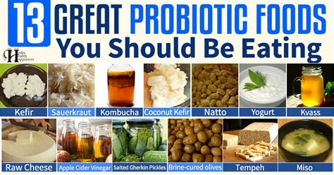 herbs health amp happiness 13 great probiotic foods you should be eating