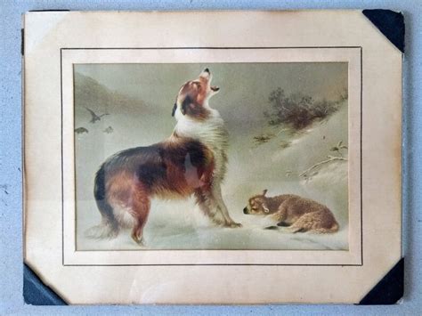 Found By Walter Hunt Collie Dog And Lamb Lithograph 5 X 7 Etsy