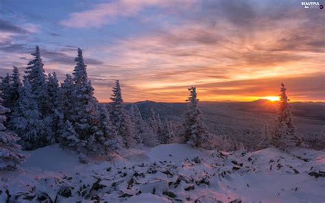 Trees Forest Great Sunsets Snowy Winter Viewes Clouds Beautiful