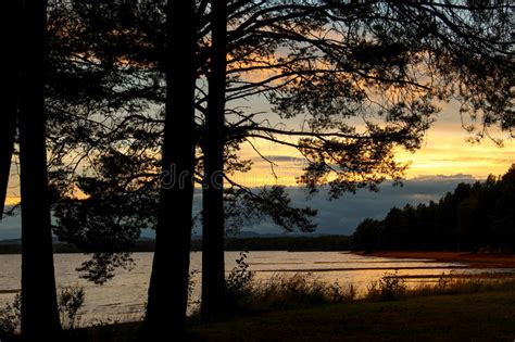 sunset beach at orsa lake in dalarna sweden stock image image of orsasjapara branches 97969613