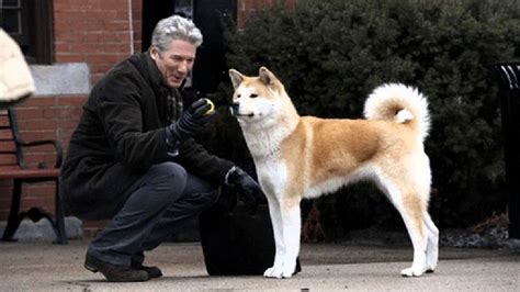 I first knew about hachiko: Hachiko A Dog's Story Music - FULL SONG (Movie Pictures ...