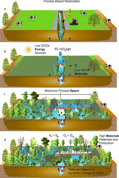 Illustration Of A Process Based Restoration Design Whereby A