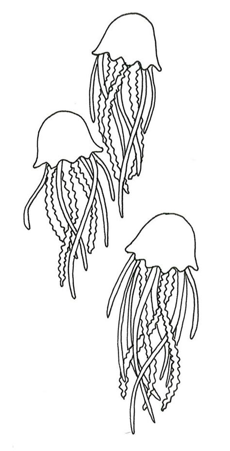 beware  jellyfish sting coloring page  color