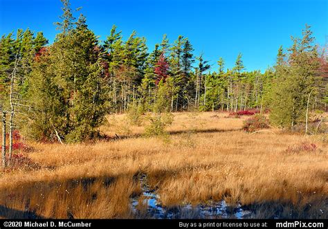 Spruce Flats Bog Picture 004 October 28 2019 From Laurel Summit